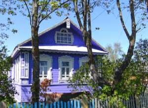 В России дачникам начнут выписать штрафы за сорняки на участках и мусор