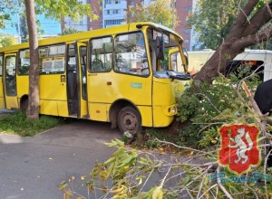 В ГИБДД рассказали, как маршрутка влетела в дерево на перекрёстке 8 Марта и Фурманова