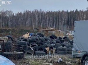 Жители Мичуринского пожаловались на помойку, устроенную местным автосервисом