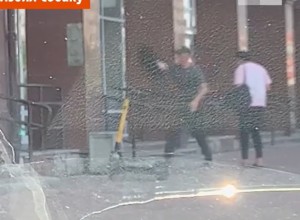 Екатеринбуржец избил и выбросил свою собаку в мусорку